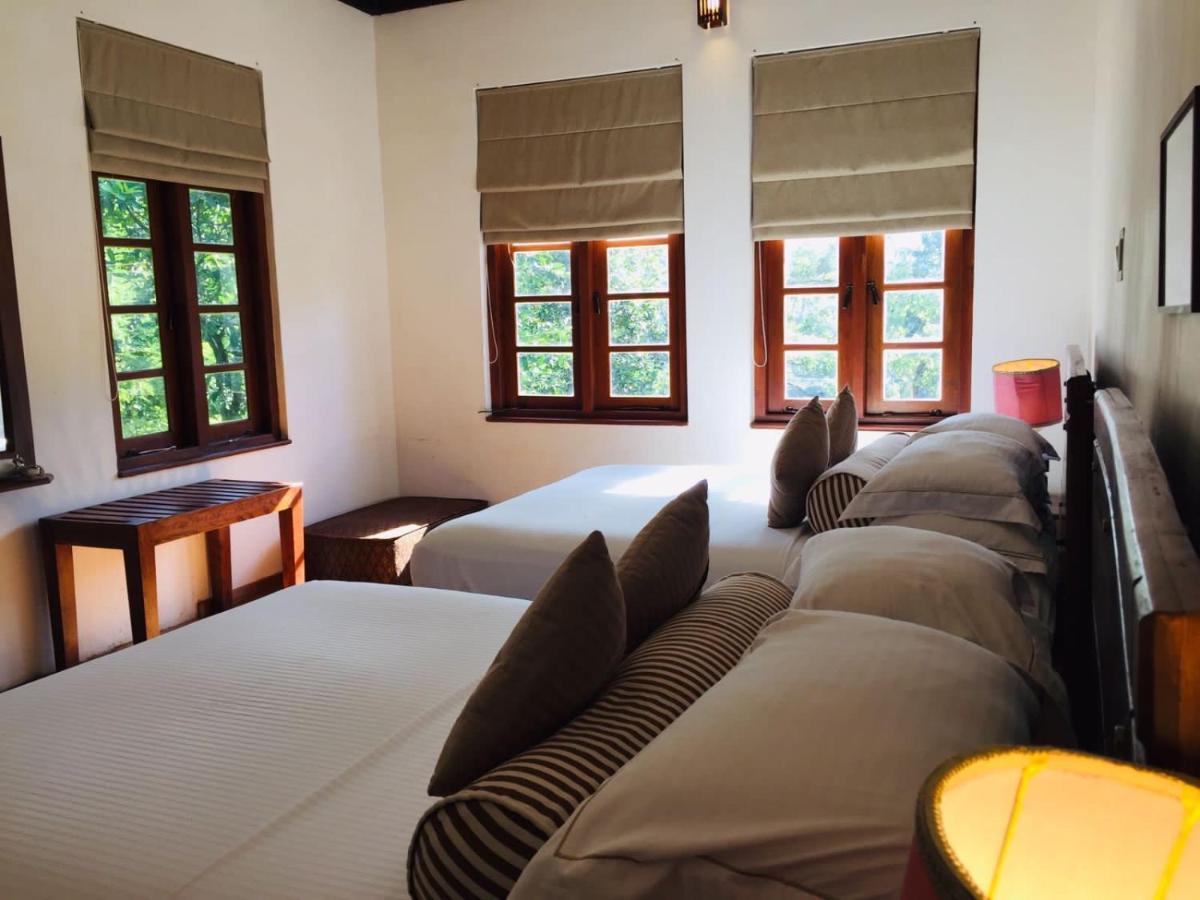 Tea Cottage Resort & Spa Nawalapitiya Extérieur photo