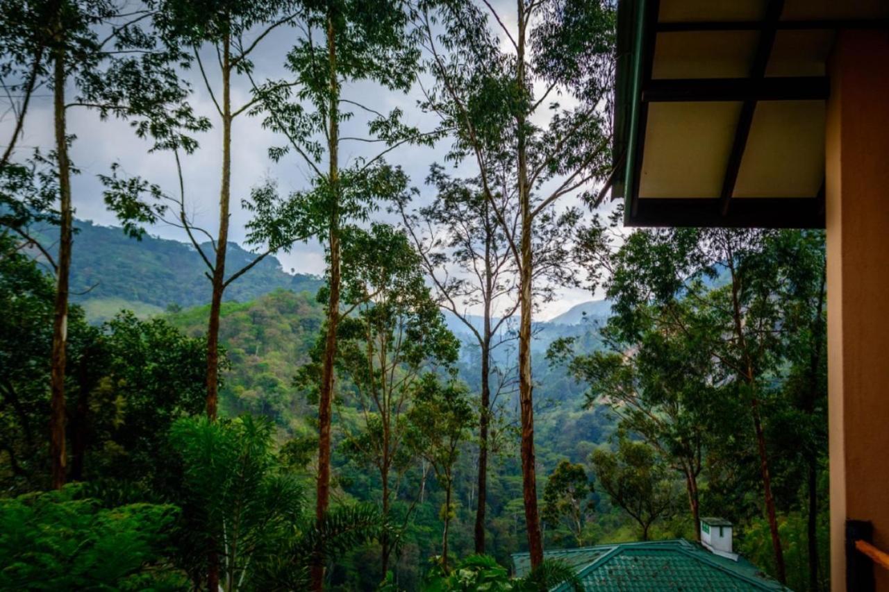 Tea Cottage Resort & Spa Nawalapitiya Extérieur photo