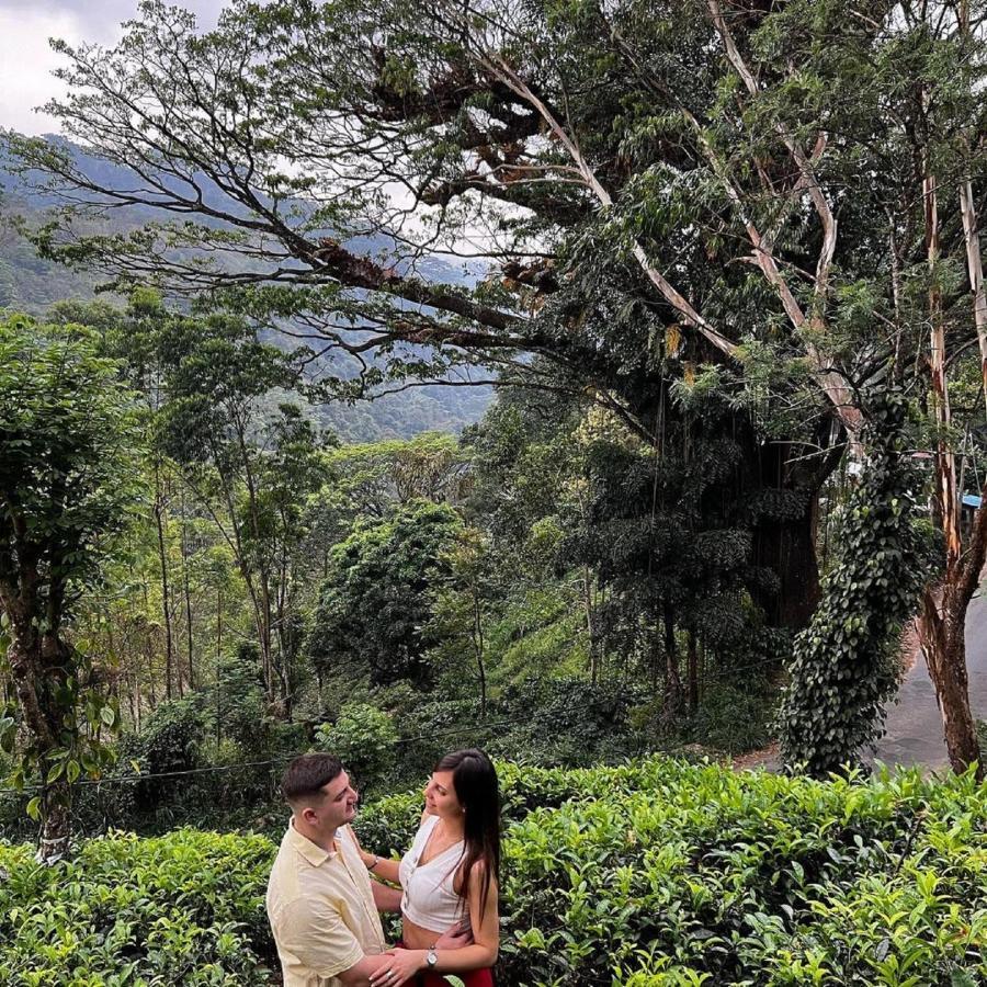 Tea Cottage Resort & Spa Nawalapitiya Extérieur photo