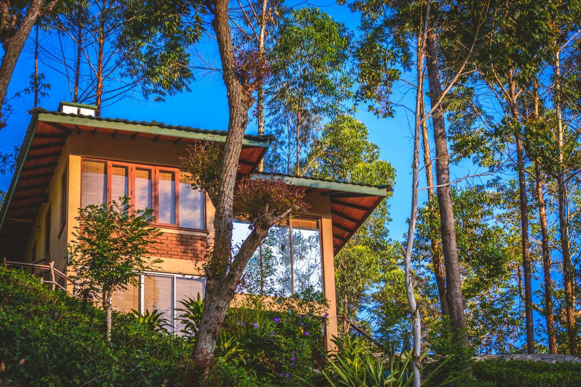 Tea Cottage Resort & Spa Nawalapitiya Extérieur photo